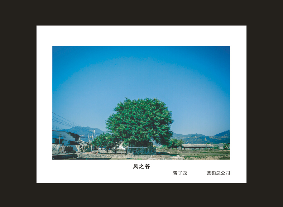 安博电竞·（anbo）官方网站
智能成立16周年司庆活动“魅力安博电竞·（anbo）官方网站
”摄影比赛优秀作品展