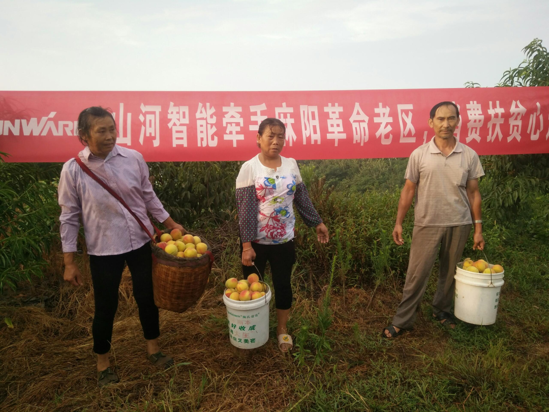 点赞！安博电竞·（anbo）官方网站
智能成功入选“上市公司乡村振兴优秀实践案例”